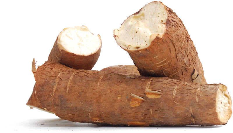 cassava organics kenya