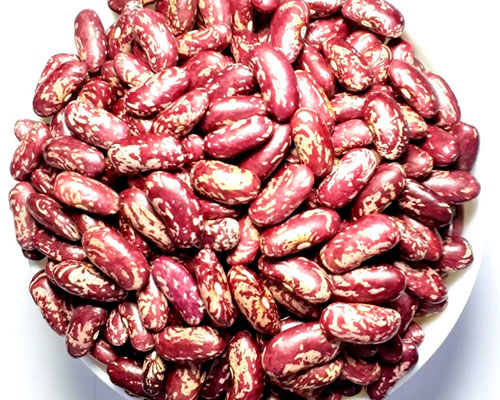 red-speckled-kidney-bean organics kenya