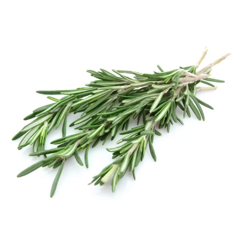 rosemary organics kenya